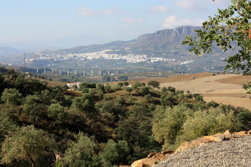 Casa Al Cerro Apartman Alora Szoba fotó